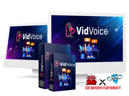 VidVoice